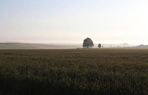 Auctioneers Cottage - Foto 38