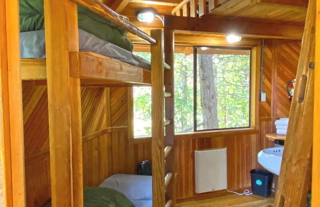 Out 'N' About Treehouse Treesort - Photo 43