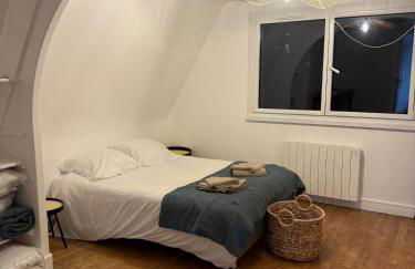 Duplex de charme Quimpérois Place Saint-Corentin - Foto 11