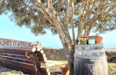 La Morreta Suites I - Lanzarote - Photo 35