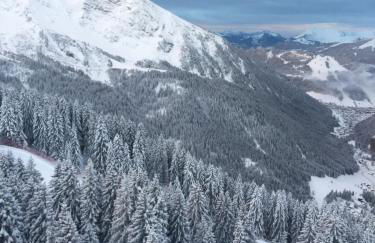 Avoriaz le M1212 - Photo 42