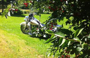 2type4 - Apartments - Foto 42