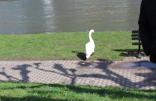 Ferienhaus Emil - Foto 32