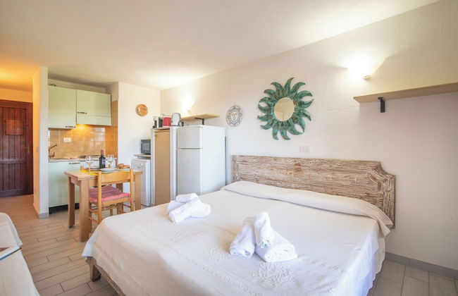 Mono Calamaro Eucalyptus 242 - Foto 4