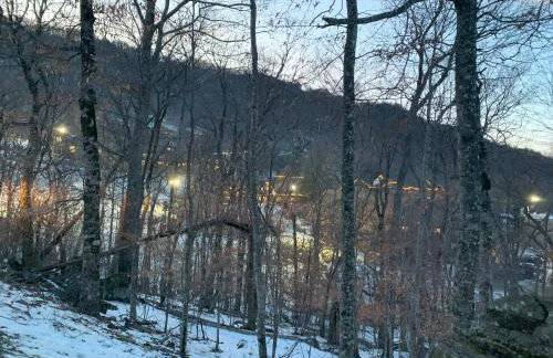 Beech Mountain Walk to Slopes Sleeps 9 Pet Friendly - Foto 67