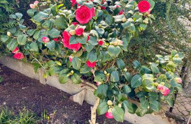 Maison Cosy à Chartres - Foto 9