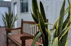 Kitnets Lofts no Kobrasol perto de Florianópolis - Foto 43