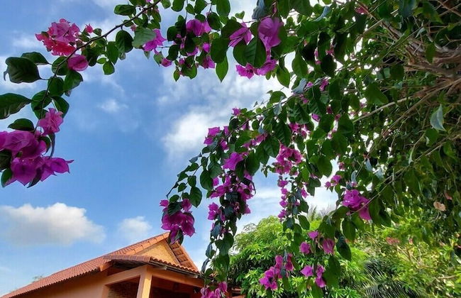 An An Boutique Homestay - Foto 18