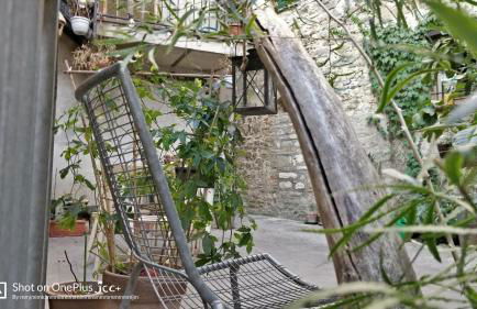 Kairos Montone - Foto 29