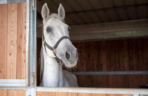Agriturismo La Tesa - Foto 44