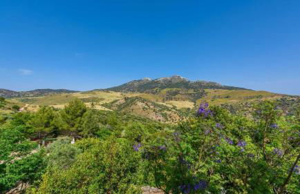 Cortijo y Estudio Montecorto by Ruralidays - Foto 34