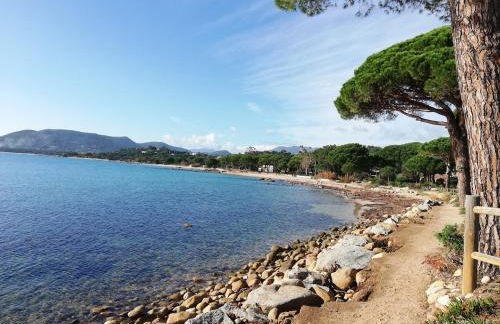 Villa les Palmiers pool spa view of Bavella - Foto 37