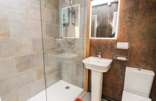 Bryn Goleu - Foto 10