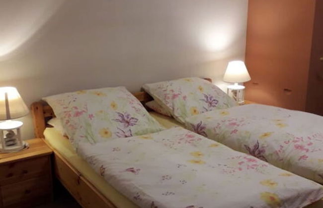 Ground Floor Palatine - Photo 6