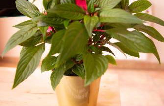 Apartamentos Aldea del Puente - Foto 25