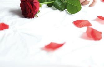 Studios Design by Les Béthunoises - Foto 43