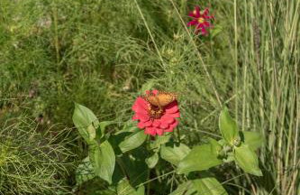 TEKOÁ - Cabana Pitanga - Barreiro, Araxá - Foto 28