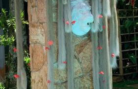 Sítio Martins com lazer completo em Ibiúna, SP - Photo 31