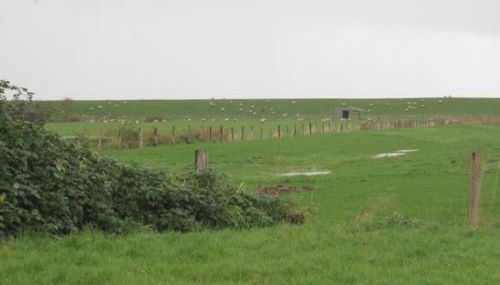 Holiday Home Großes Ferienhaus in Müggendorf mit Garten by Interhome - Foto 3