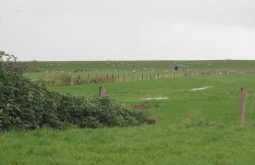 Holiday Home Großes Ferienhaus in Müggendorf mit Garten by Interhome - Foto 3