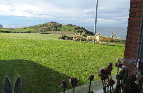 Apartamentos Gloria-patchwork-Ubiarco - Foto 55