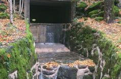 Somport bienvenidos a Canfranc Family - Foto 18