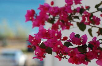 Fantastica casa in stile mediterraneo - Al Ficodindia - Foto 7