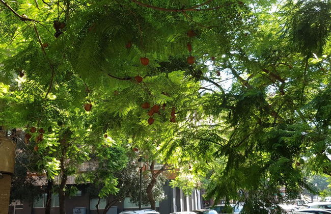 Iberia Lodging House - Photo 21