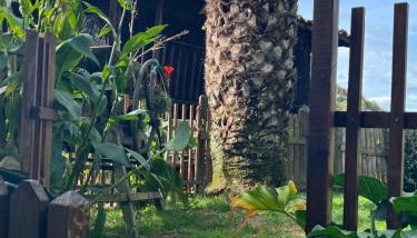 Posada El Pareón - Foto 2, Garden, Garden view