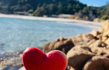 Duplex vue mer EXCEPTIONNELLE en Corse du sud proche plage - le 180Corse - Foto 43