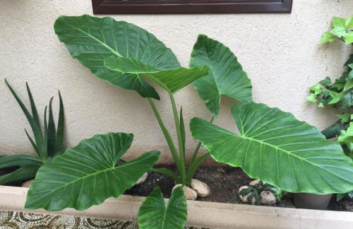 Casa Rural Bellamonte - Foto 18