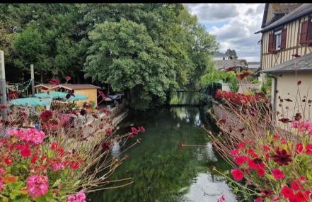 Appartement duplex hypercentre - Foto 17