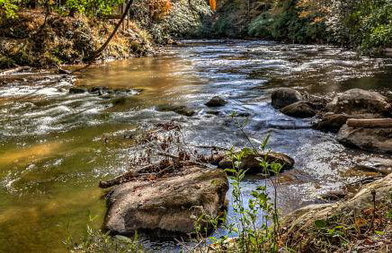 Fightingtown Creek Retreat - Foto 52