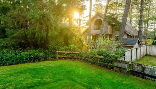 Sea Dream MCA#398 - Foto 5