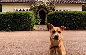 Stunning 2 Lodge Cottage retreat - Foto 31