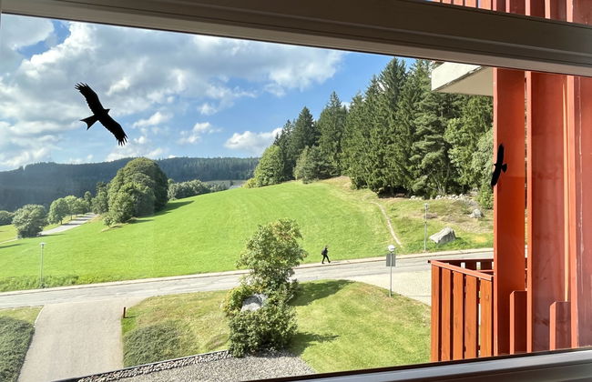 Schöne Aussicht (App 1406 / EX-Kurhotel) - Foto 12