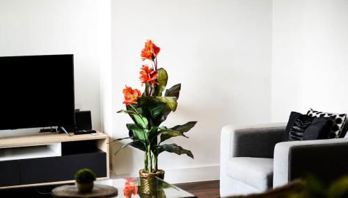 Modern 2 bedroom apartment - city centre - parking - Foto 4