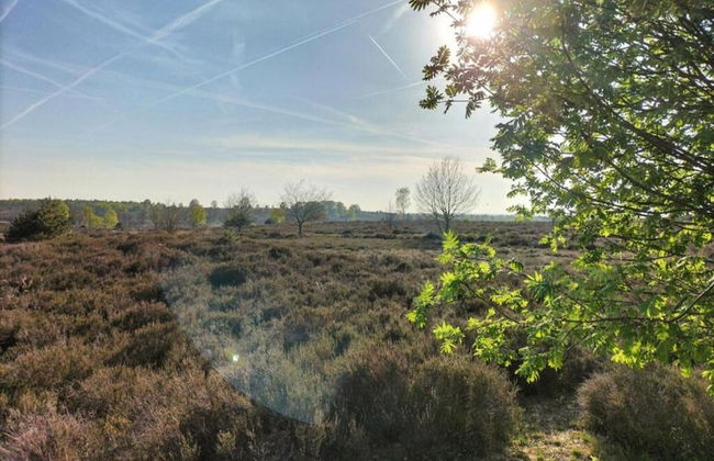 Holiday Home in Haarle Near Sallandse Heuvelrug - Foto 30