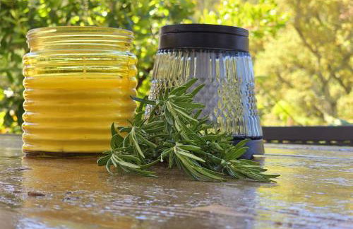 Adcasinha em Arganil - Foto 41