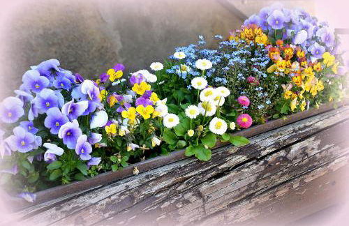 Cosis Ferienwohnung - Foto 40