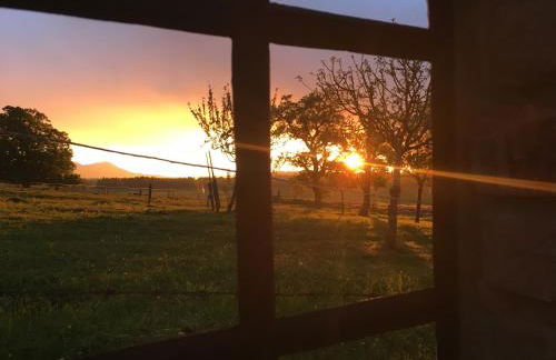 Ferienwohnungen Rosenegger - Photo 6