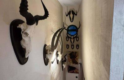 El Rincon de la Nubla - Photo 11