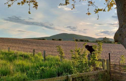 The Humble Hut - Photo 30