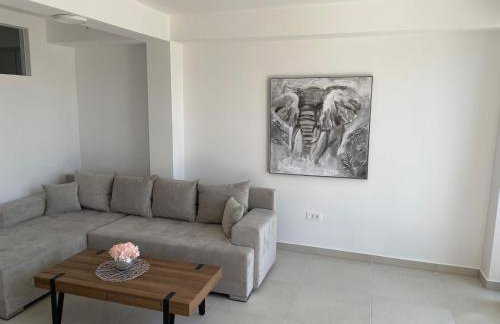 Amore Apartmani - Foto 15