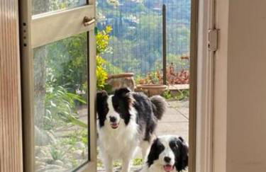 Via Verdi 14 - Foto 30