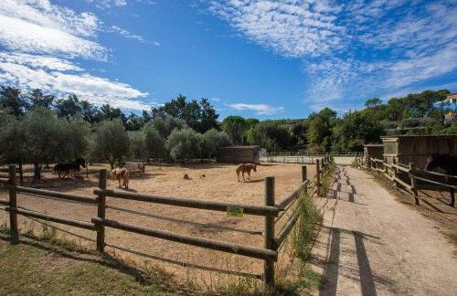 Gite Aux Écuries du Mas di Gau - Foto 28