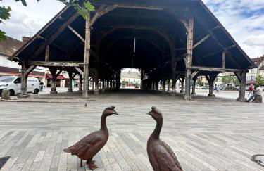 Le cocon Parking privé Centre ville Gare - Foto 21