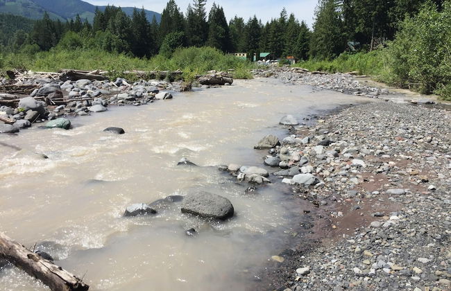 78mbr - Wood Stove - Wifi - Pets Ok - BBQ - Sleeps 6 - Foto 50