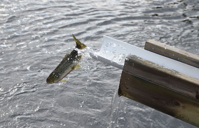 Ol-jons By - Photo 22