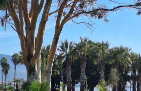 Motril Carpe Diem Primera línea de playa - Foto 7